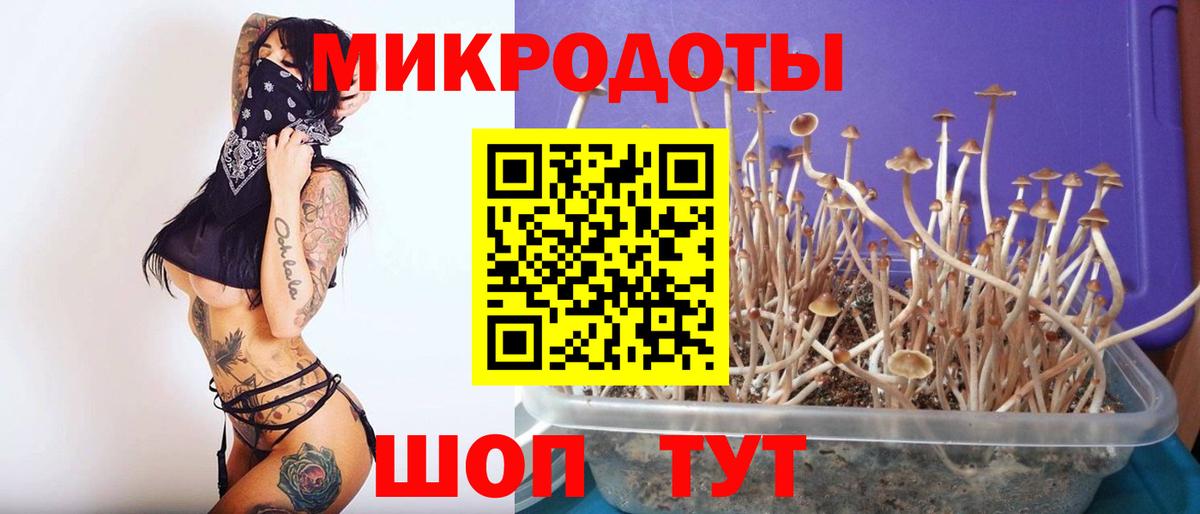 Галлюциногенные грибы GOLDEN TEACHER Анапа